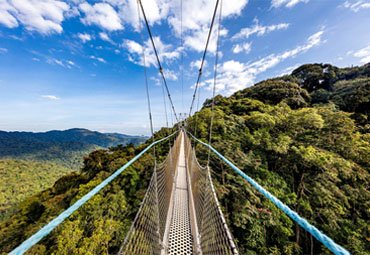 Nyungwe National Park